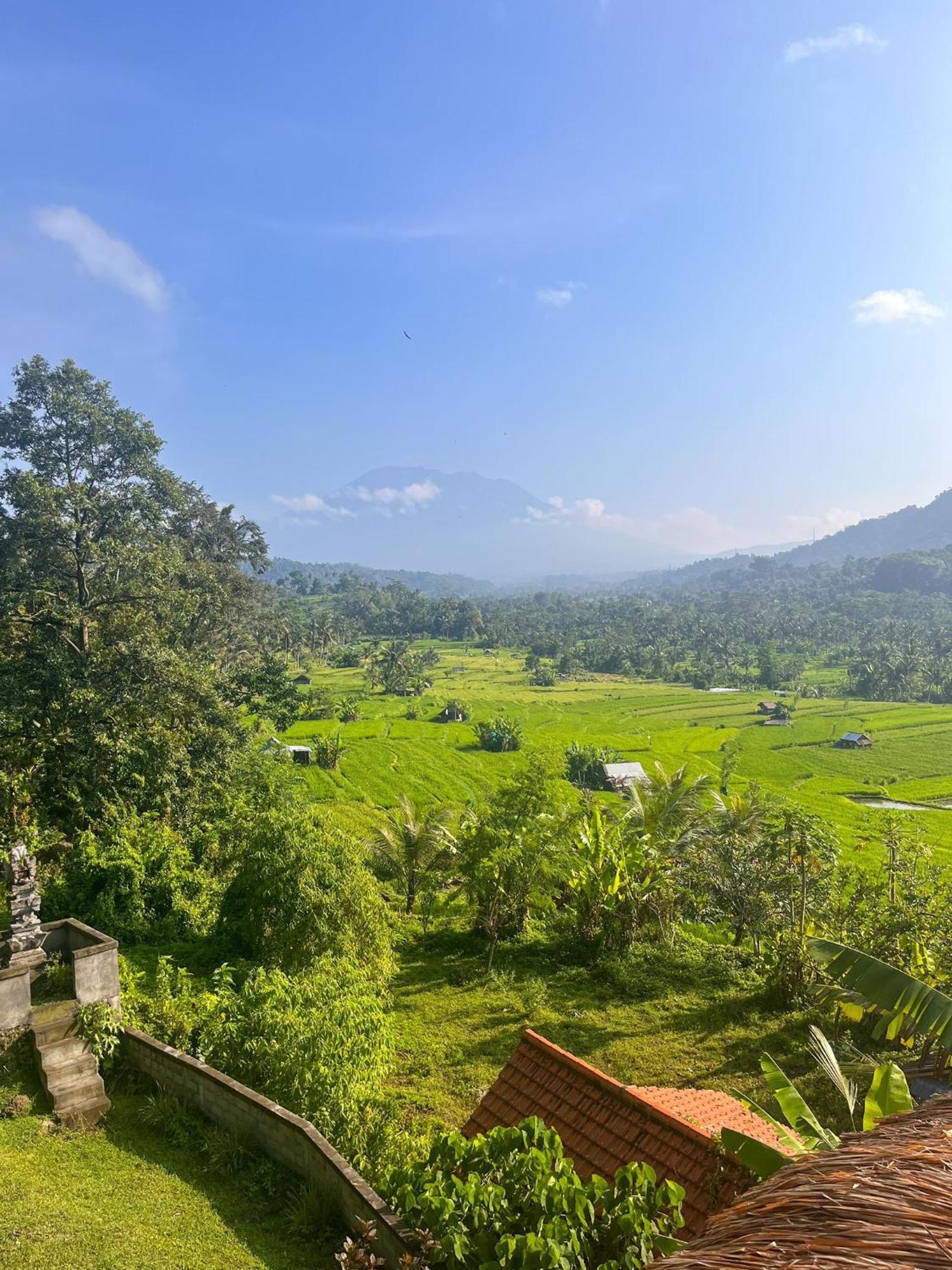 Karangasem Villa Lumbung Ayu Sari & Spa מראה חיצוני תמונה